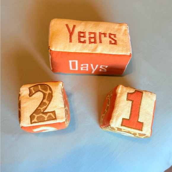 Large Baby Milestone Blocks - Picture 4 of 5